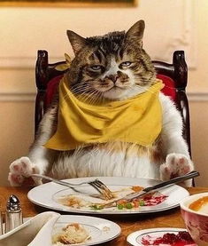 ：研究背景与学术价值