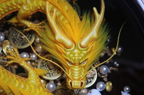 属龙今日穿什么颜色衣服最旺财运？