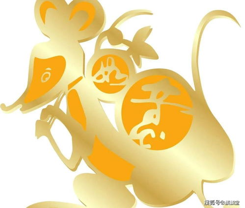 2026年整体运势：刺激到飞起！