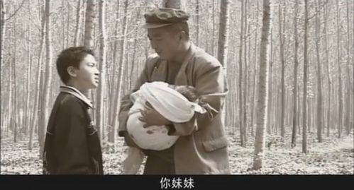 12月16号和12月6号，哪个日子更适合改写为？