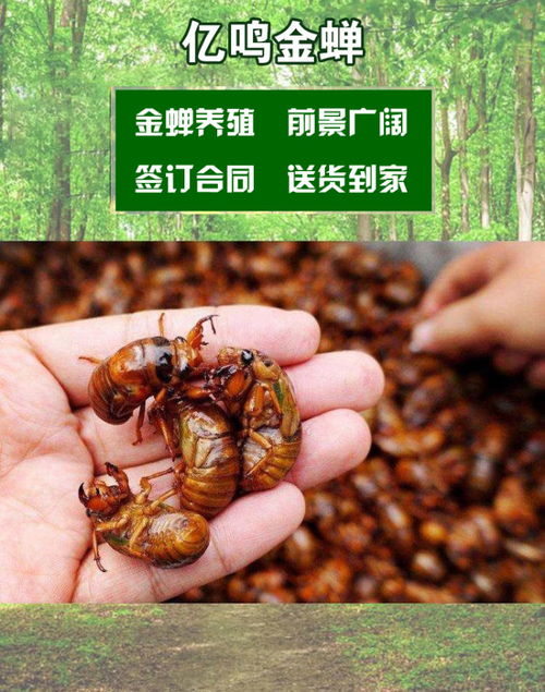 3. 污秽之地的隔离：厕所与鱼缸的方位禁忌