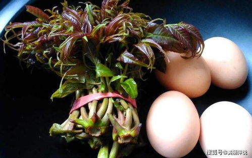 传统习俗与现代科学认知之间的交叉点