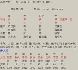 1. 例1：坤造壬丁壬戊 (空午未) 戌未辰申