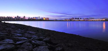 2. 深圳湾公园：跑步者的天堂， 浪漫者的地狱