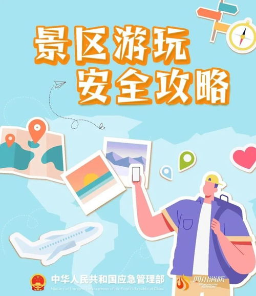 项目名称：虚假的承诺与真实的混乱