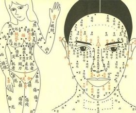 三、 共性特征：从个体差异到整体趋势