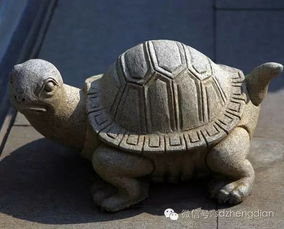 李居明讲解的龟目风水，龟形布局如何改？