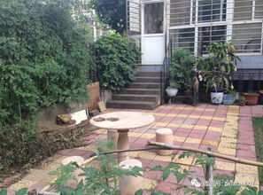 如何挑选绿植来改善风水？方位与寓意的巧妙运用