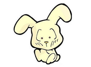 2017年属兔人的运势具体表现和特点是什么？