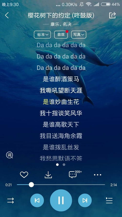 ：数字媒介语境下的身份构建与命名艺术