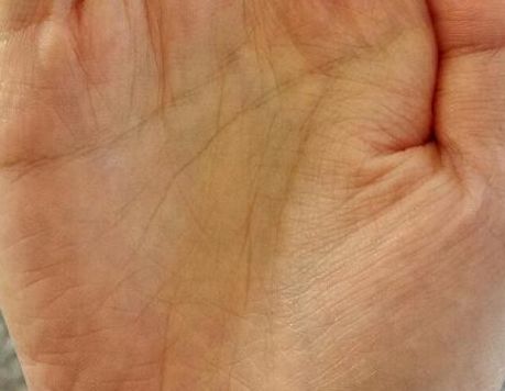 深层应用：多维度的价值体现