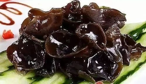 窗台种植木耳风水如何？适合种植木耳吗？