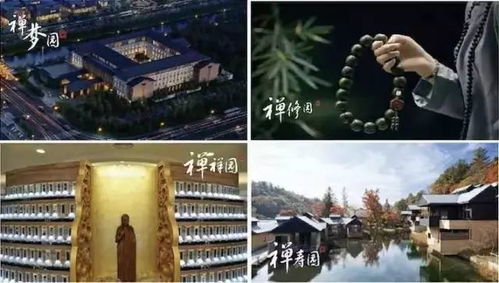 三、 社会周边环境需求变迁下禅修行业的持续发展前景