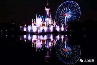 仁和夜生活：灯光比星星亮， 噪音比音乐大