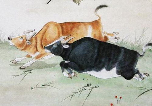 三、 属马者因食伤星而呈现之更多元化持续发展态势