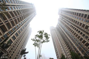 2. 交通便利性与生活品质的提升