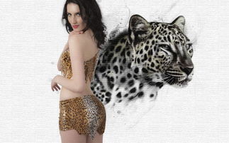 女人比作豹子，这种致命吸引力究竟有何独特之处？