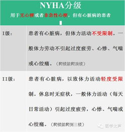 2.3 童子命口诀的快速校验工具