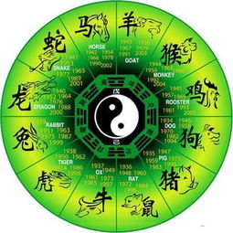 属龙和属猴的命格相冲吗？他们的相配度和长久关系如何？