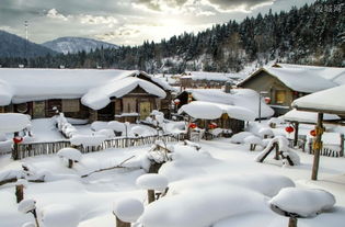 西南那旮旯 的 雪藏着最原始的味道