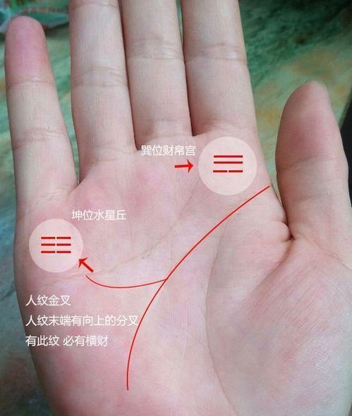 五、 福祉象征：利财与旺夫两大命理走向