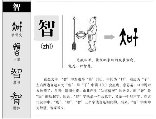 娣字的含义与五行属性
