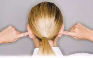 外邪侵袭与器质性病变之客观因素