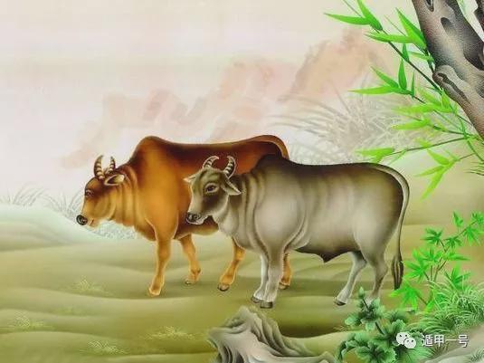 财运解析