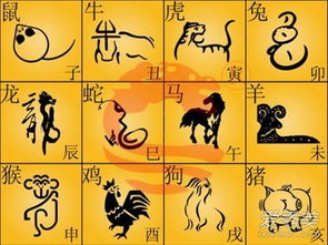 一、 “相害”生肖组合与事业合作风险
