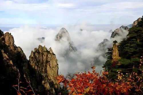 第一天： 黄山的“磨难”与“惊喜”