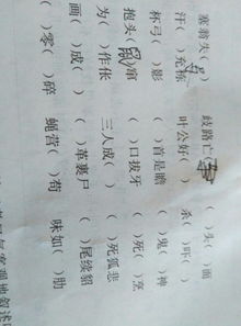 中途而废打一生肖，是哪个生肖为的谜底呢？