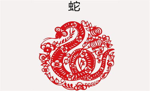 2026年属蛇人运势如何，特别是2001年出生的属蛇人，全年运势会有哪些变化？