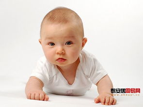 有哪些男孩名字带有王字旁？