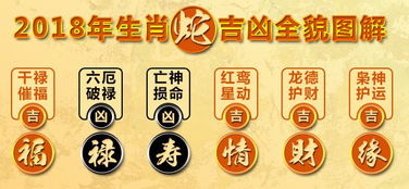 五行失衡与精准国学解析