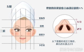 短小低陷的鼻子：年长配偶的选择倾向