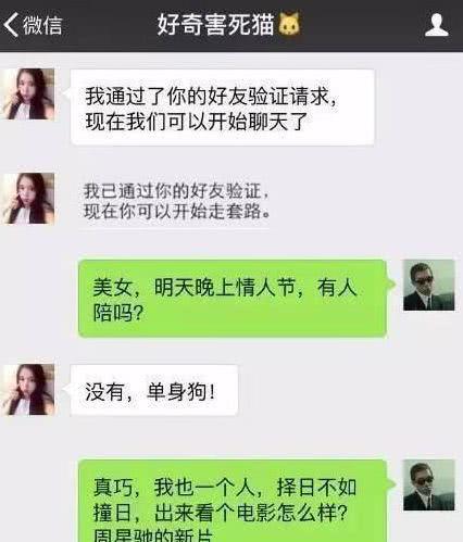 生肖与星座配对的理论框架