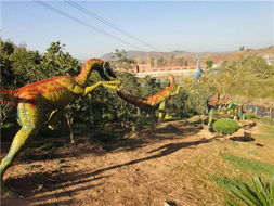 门票价格比过山车还刺激