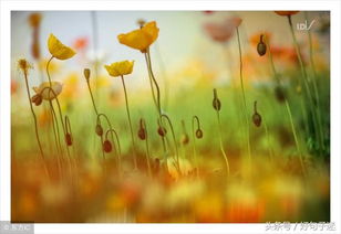 微信名字：不仅仅是一个标签