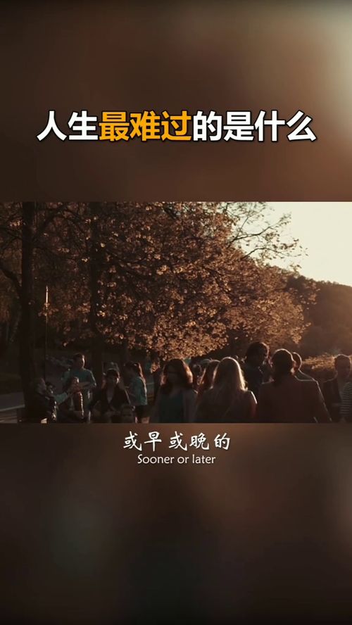 ：人生际遇与心理韧性的深层博弈