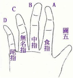 四、 社会周边环境文化底蕴作用于及个体心理状态适应环境