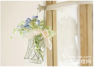 2021年家里摆放哪些植物更符合风水布局？