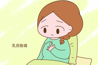较小段落1: 乳腺癌筛查
