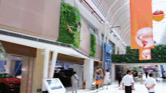 娱乐设施：花钱买罪受