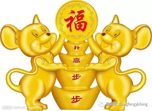 今天属哪个生肖？哪个生肖今日财运最旺？