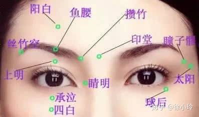 眼睑区域：异性吸引力的显性表征