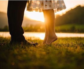 生肖相克：传统文化中的宿命纠葛