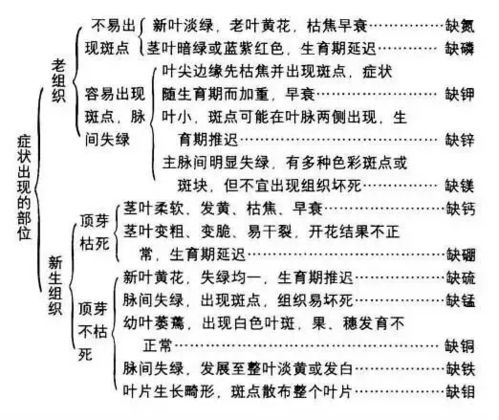 身体健康状况診斷的星宿對應
