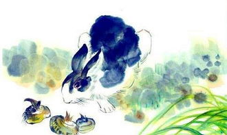 ④ 古老黄历视角（木火通明论述）
