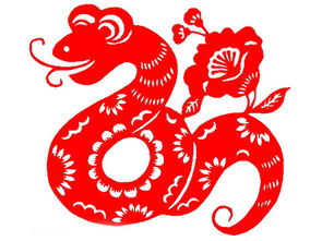 蛇年属马的人配偶是什么生肖？属马蛇年适合佩戴什么物件有何寓意？