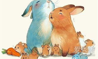 属虎男和属兔女的婚姻关系怎么样？有没有什么忒别的注意事项？